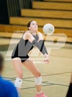 Photo from the gallery "Green Mountain @ Conifer"