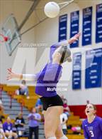 Photo from the gallery "Leo @ Heritage"