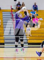 Photo from the gallery "Leo @ Heritage"