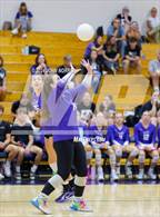 Photo from the gallery "Leo @ Heritage"