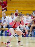 Photo from the gallery "Leo @ Heritage"