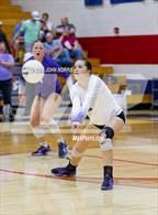 Photo from the gallery "Leo @ Heritage"