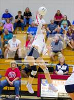 Photo from the gallery "Leo @ Heritage"