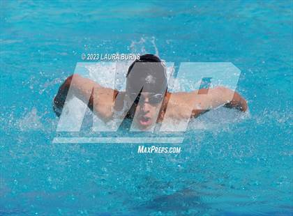 Thumbnail 1 in BVAL League Championships (Finals) photogallery.