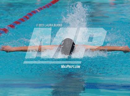Thumbnail 1 in BVAL League Championships (Finals) photogallery.