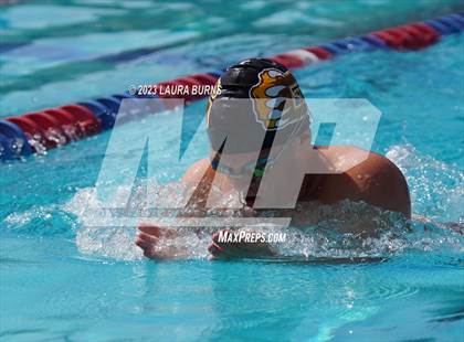 Thumbnail 1 in BVAL League Championships (Finals) photogallery.
