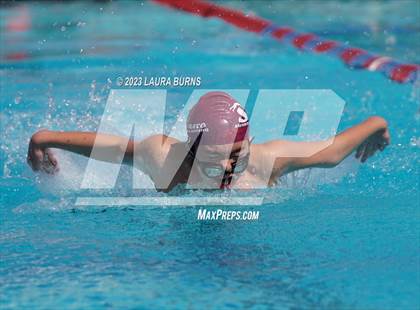 Thumbnail 1 in BVAL League Championships (Finals) photogallery.
