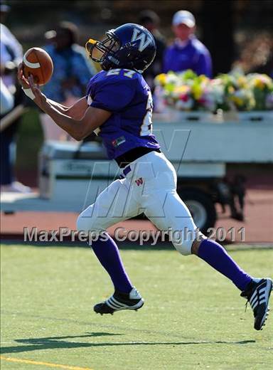 null - Photo 11