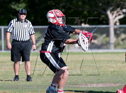 Thumbnail 1 in Palo Verde Black vs Red Rock photogallery.