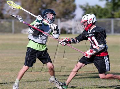 Thumbnail 2 in Palo Verde Black vs Red Rock photogallery.
