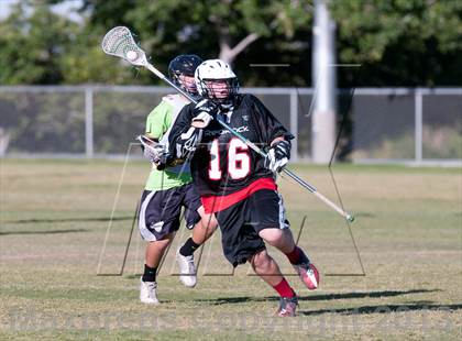 Thumbnail 2 in Palo Verde Black vs Red Rock photogallery.