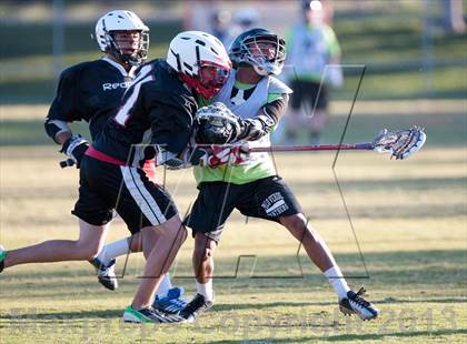 Thumbnail 1 in Palo Verde Black vs Red Rock photogallery.