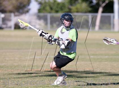 Thumbnail 2 in Palo Verde Black vs Red Rock photogallery.