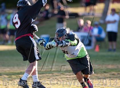 Thumbnail 1 in Palo Verde Black vs Red Rock photogallery.