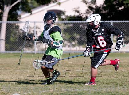 Thumbnail 2 in Palo Verde Black vs Red Rock photogallery.