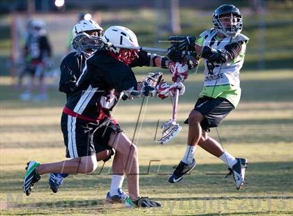 Thumbnail 2 in Palo Verde Black vs Red Rock photogallery.