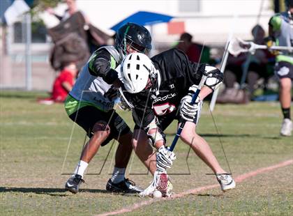 Thumbnail 1 in Palo Verde Black vs Red Rock photogallery.