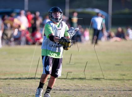 Thumbnail 1 in Palo Verde Black vs Red Rock photogallery.