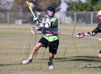 Thumbnail 1 in Palo Verde Black vs Red Rock photogallery.