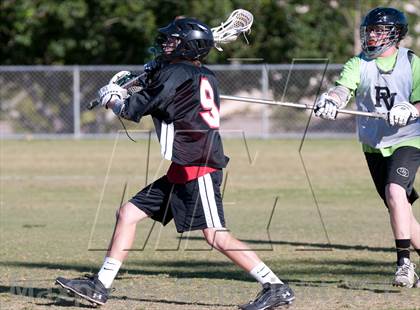 Thumbnail 3 in Palo Verde Black vs Red Rock photogallery.