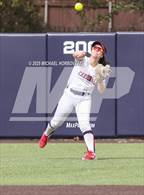 Photo from the gallery "Boswell @ John Paul II"