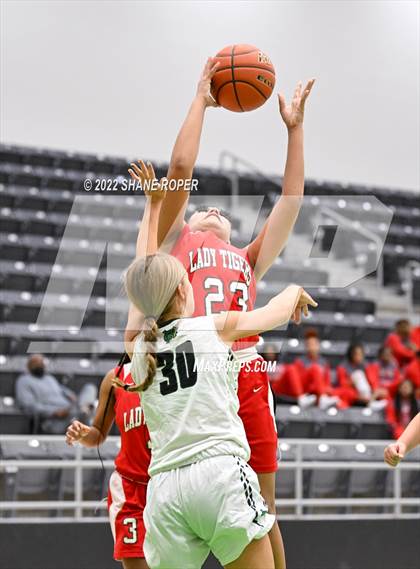 Thumbnail 3 in Terrell @ Caddo Mills photogallery.
