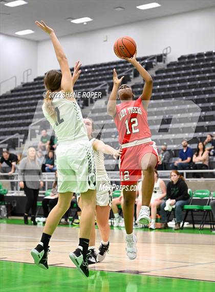 Thumbnail 1 in Terrell @ Caddo Mills photogallery.
