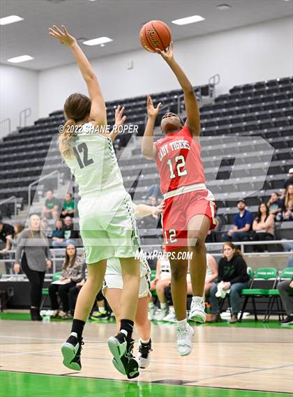 Thumbnail 2 in Terrell @ Caddo Mills photogallery.