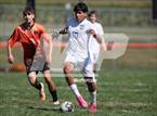 Photo from the gallery "Bishop Ready @ Amanda-Clearcreek"