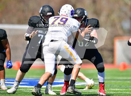 Thumbnail 3 in Warwick @ Wallkill photogallery.
