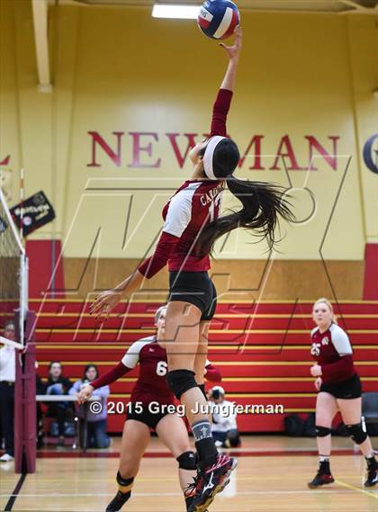 Thumbnail 3 in Windsor @ Cardinal Newman (NBL Tournament) photogallery.