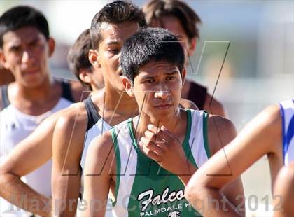 Thumbnail 2 in 42nd Yucaipa Cross Country Invitational  photogallery.