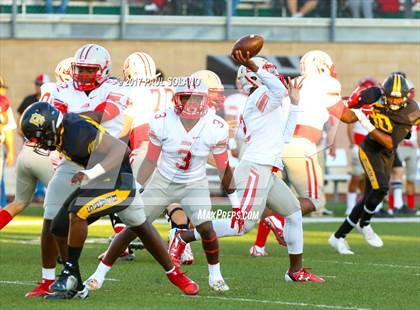 Thumbnail 1 in Judson @ Brennan photogallery.