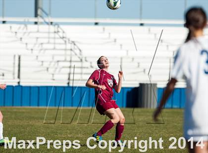 Thumbnail 2 in Chatfield @ Ralston Valley photogallery.