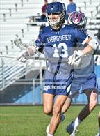 Photo from the gallery "Evergreen @ Golden"