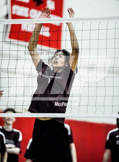 Thumbnail 1 in Corona del Sol vs. Hamilton (Brophy Invitational) photogallery.