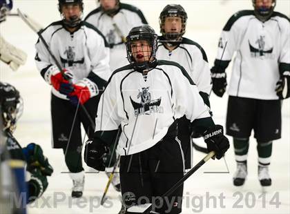 Thumbnail 1 in Farmington/Avon/Windsor @ Guilford photogallery.