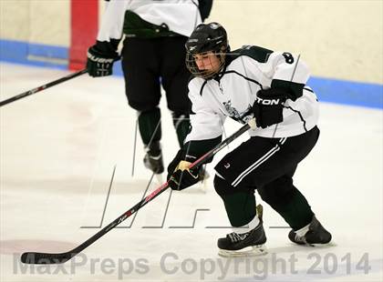 Thumbnail 1 in Farmington/Avon/Windsor @ Guilford photogallery.