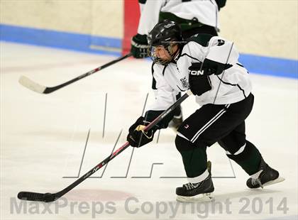 Thumbnail 2 in Farmington/Avon/Windsor @ Guilford photogallery.
