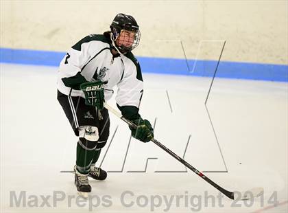 Thumbnail 1 in Farmington/Avon/Windsor @ Guilford photogallery.