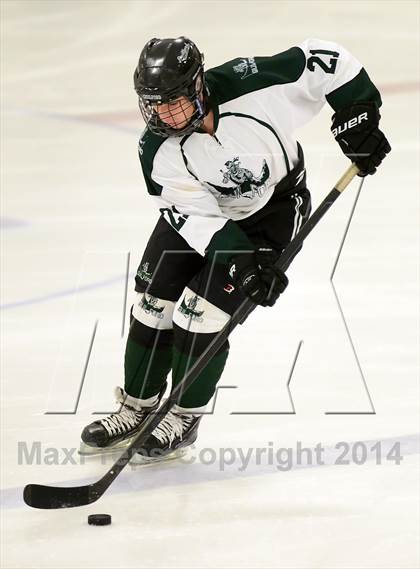 Thumbnail 3 in Farmington/Avon/Windsor @ Guilford photogallery.