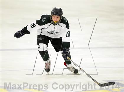 Thumbnail 1 in Farmington/Avon/Windsor @ Guilford photogallery.