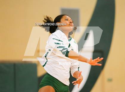 Thumbnail 2 in Middleburg @ Fleming Island photogallery.