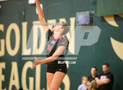 Thumbnail 3 in Middleburg @ Fleming Island photogallery.