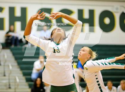 Thumbnail 2 in Middleburg @ Fleming Island photogallery.