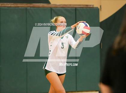 Thumbnail 3 in Middleburg @ Fleming Island photogallery.