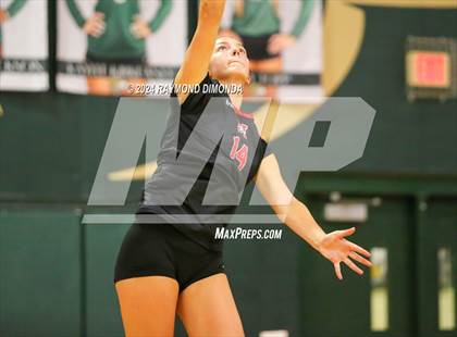 Thumbnail 3 in Middleburg @ Fleming Island photogallery.