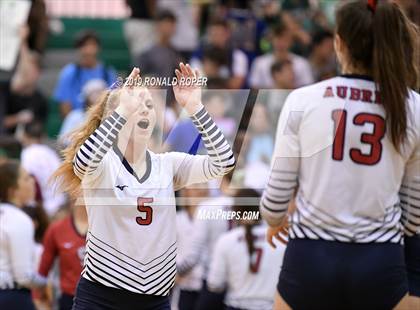 Thumbnail 1 in Aubrey @ Caddo Mills photogallery.