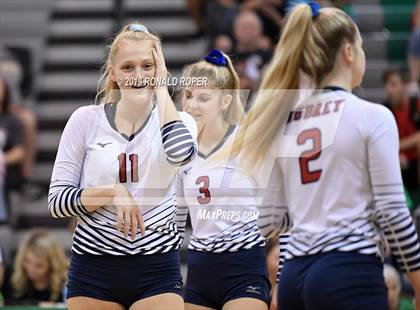 Thumbnail 2 in Aubrey @ Caddo Mills photogallery.