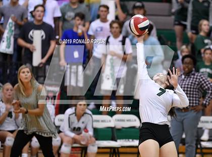 Thumbnail 1 in Aubrey @ Caddo Mills photogallery.